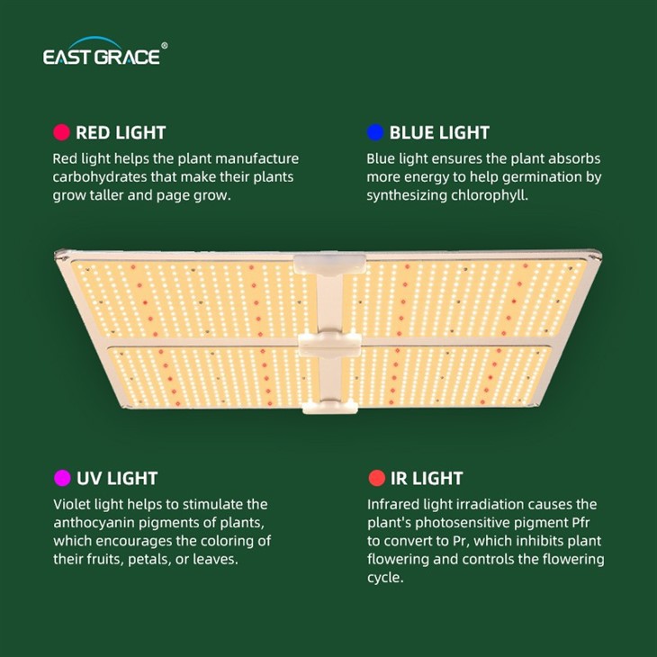 600W LED Grow Light Board suppliers