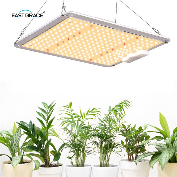 600W LED Grow Light Board