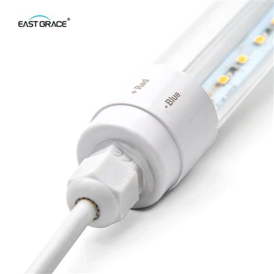 DC12V T8 DC Luz de tubo LED impermeable