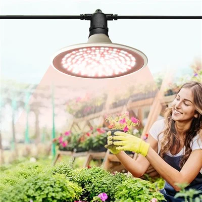 Lámpara de bombilla LED 15W para cultivo de plantas