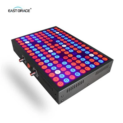 Panel de luz LED de doble canal de doble canal LM281B impermeable